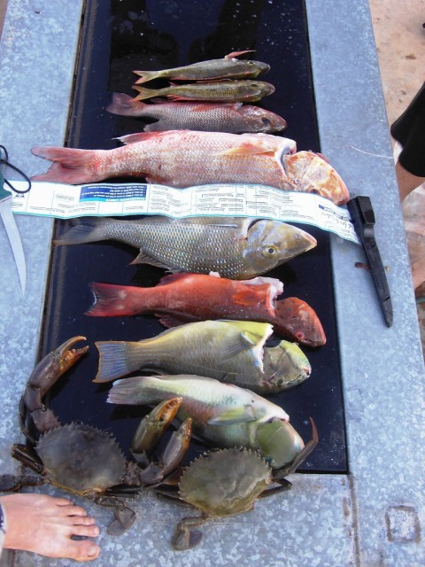 second days catch